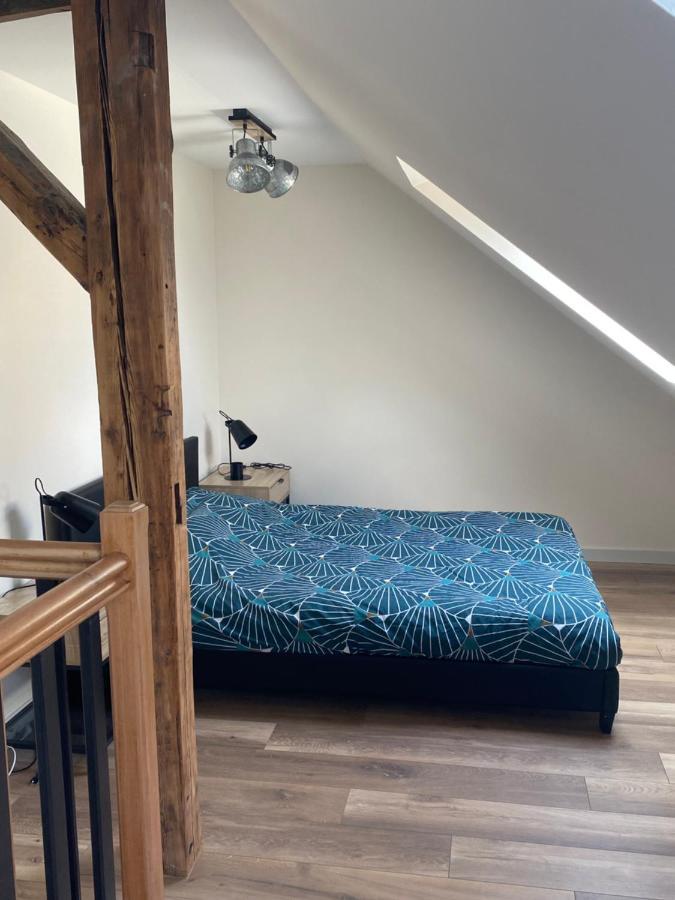 Duplex Hammam Au Pied De La Cathedrale Avec Vue Apartment Reims Luaran gambar